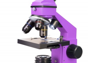 Mikroskop-Levenhuk-Rainbow-2L-PLUS-AmethystAmetist_8