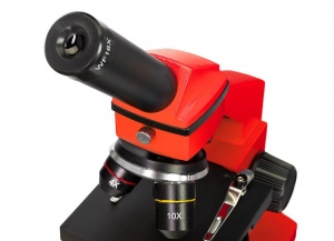 Mikroskop-Levenhuk-Rainbow-2L-PLUS-OrangeApelsin_6