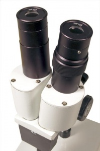 Mikroskop-Levenhuk-2ST-binokulyarnij_4