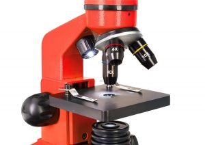 Mikroskop-Levenhuk-Rainbow-2L-OrangeApelsin_8