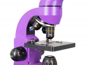Mikroskop-Levenhuk-Rainbow-50L-PLUS-AmethystAmetist_12