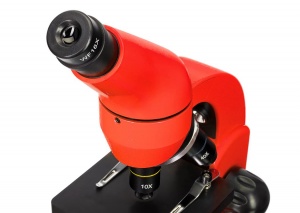 Mikroskop-Levenhuk-Rainbow-50L-PLUS-OrangeApelsin_9
