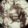 Mikroskop-Levenhuk-Rainbow-50L-PLUS-AmethystAmetist_19