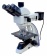 levenhuk-mm500led-microscope-1 levenhuk-mm500led-microscope-1