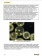 levenhuk_microscope_preparat50k-17