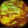 microscope-levenhuk-rainbow-50l-plus-moonstone-20
