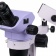 84847_magus-stereo-7br-stereomicroscope_04