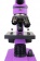 Mikroskop-Levenhuk-Rainbow-2L-PLUS-AmethystAmetist_7