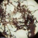 microscope-levenhuk-rainbow-50l-plus-moonstone-21