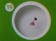 Nabor-mikropreparatov-Levenhuk-LabZZ-P12-rasteniya_5