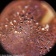 Mikroskop-Levenhuk-Rainbow-50L-PLUS-AmethystAmetist_25