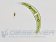 mikroskop_bresser_science_trm-301_5
