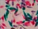 13-Euglena