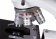 Mikroskop-Levenhuk-MED-10T-trinokulyarnij_12