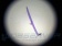 nabor_mikropreparatov_celestron,_100_sht._13