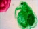 18-Daphnia