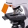 magus-mikroskop-lyuminescentnyj-cifrovoj-lum-d400-13