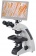 Mikroskop-Bresser-Science-Infinity-401000x_5 Mikroskop-Bresser-Science-Infinity-401000x_5