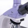 magus-mikroskop-biologicheskij-cifrovoj-bio-d250tl-15 magus-mikroskop-biologicheskij-cifrovoj-bio-d250tl-15
