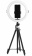 levenhuk-shtativ-level-base-tr7-13 levenhuk-shtativ-level-base-tr7-13