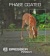 foto-bresser-binokl-pirsch-10x42-5 foto-bresser-binokl-pirsch-10x42-5