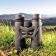 foto-binokl-nikon-prostaff-3s-10x42-4 foto-binokl-nikon-prostaff-3s-10x42-4
