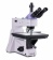 magus-mikroskop-metallograficheskij-metal-650-3 magus-mikroskop-metallograficheskij-metal-650-3