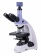 magus-mikroskop-biologicheskij-cifrovoj-bio-d250tl-3 magus-mikroskop-biologicheskij-cifrovoj-bio-d250tl-3