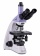 magus-mikroskop-biologicheskij-cifrovoj-bio-d250tl-5 magus-mikroskop-biologicheskij-cifrovoj-bio-d250tl-5